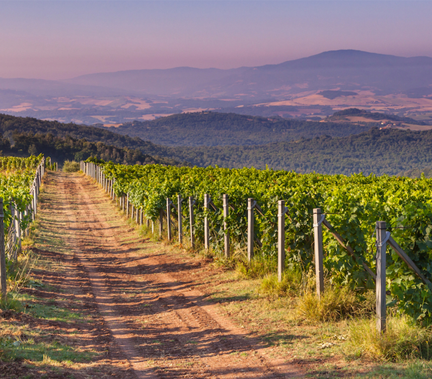 Which are the most famous Tuscan wines?